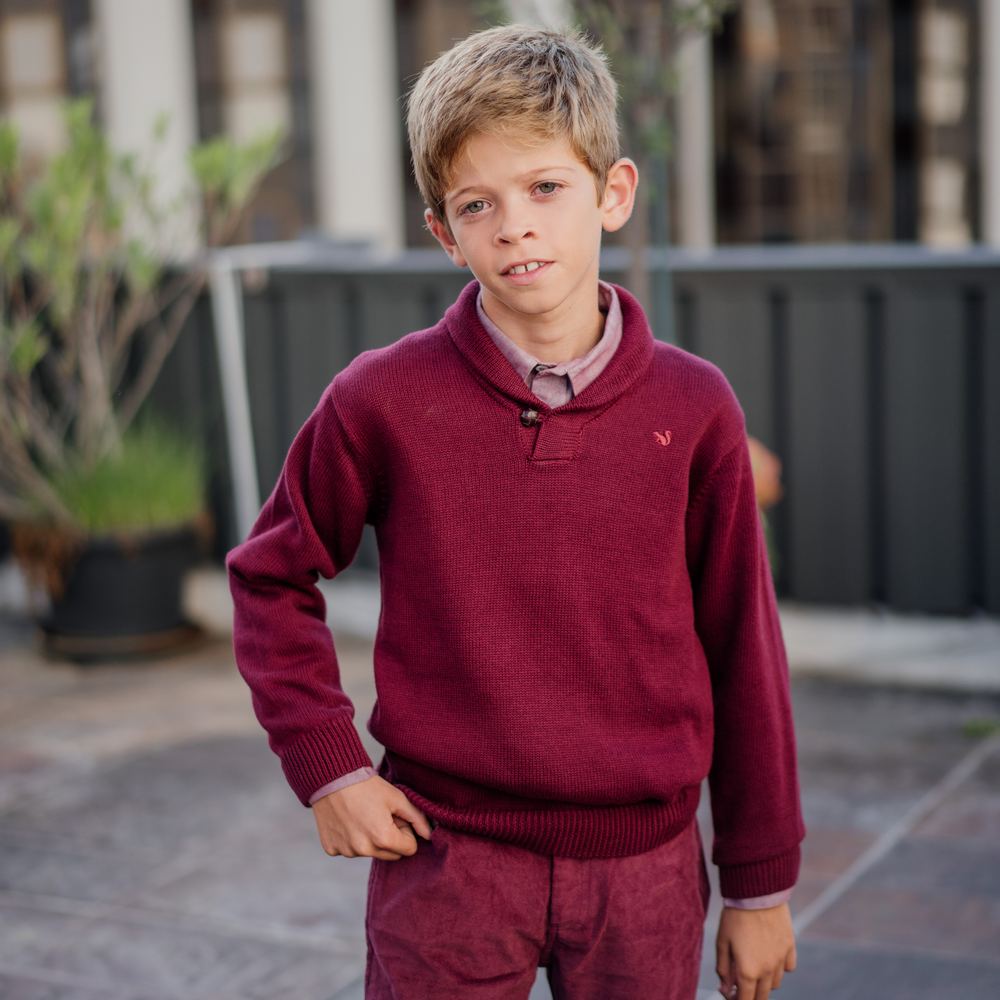 Boys burgundy sweater sale